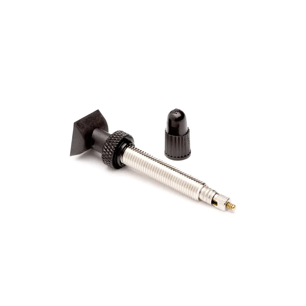 Reynolds Tubeless Valve Stem - Silver 1
