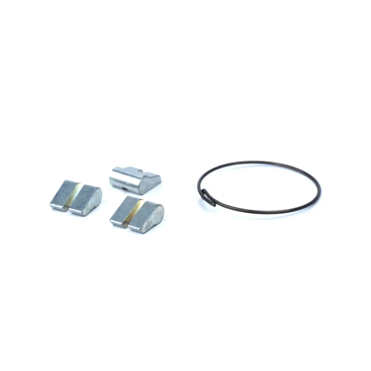 Src/Srx Pawl/Spring Kit 1
