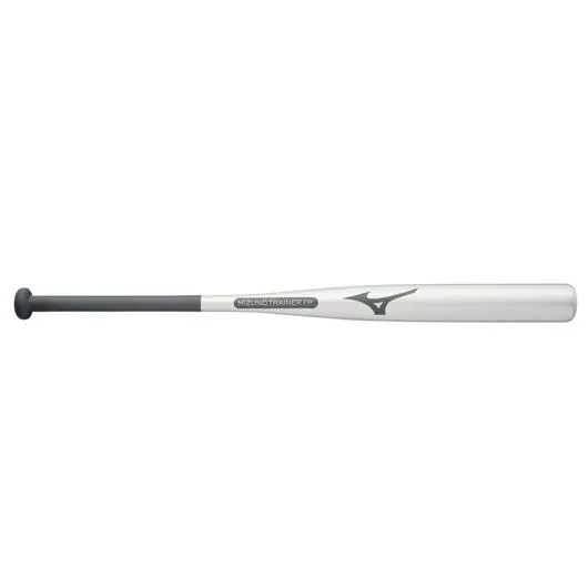 Mizuno Bamboo Elite Fastpitch Weighted Training Bat 1