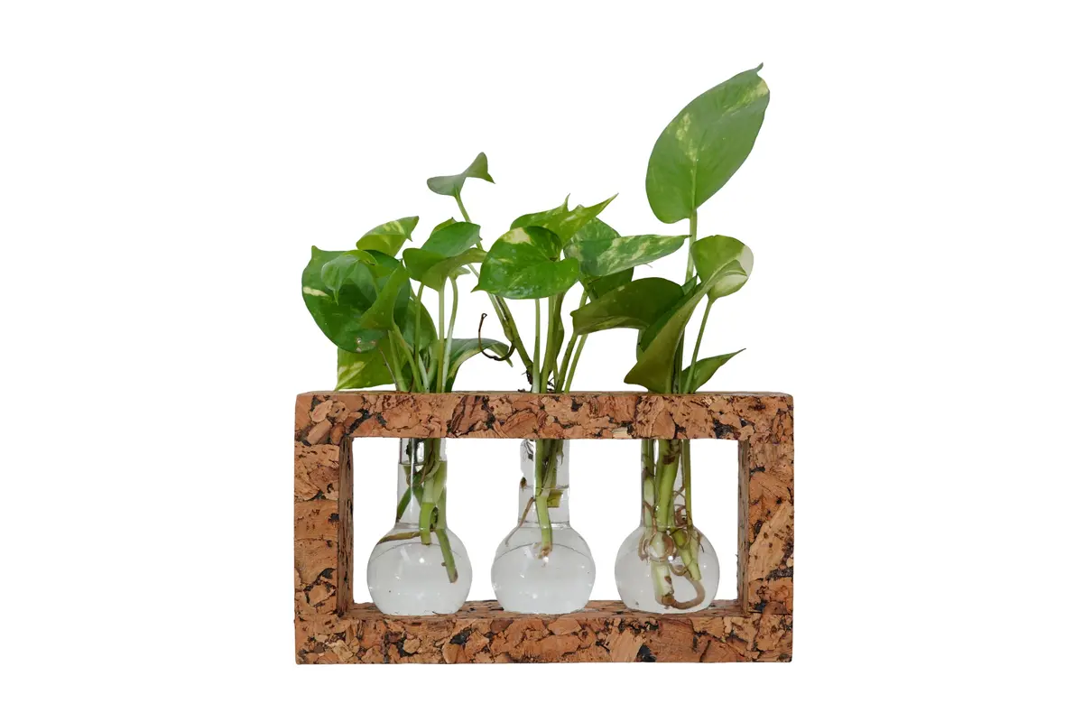 3 Beaker Planter 1