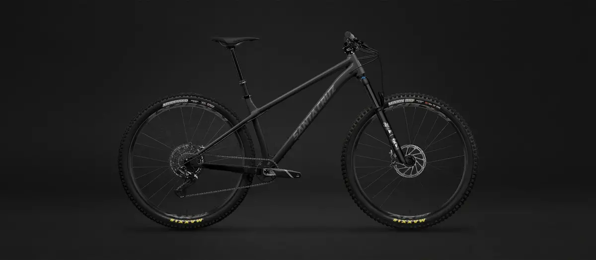 Santa Cruz Chameleon 1