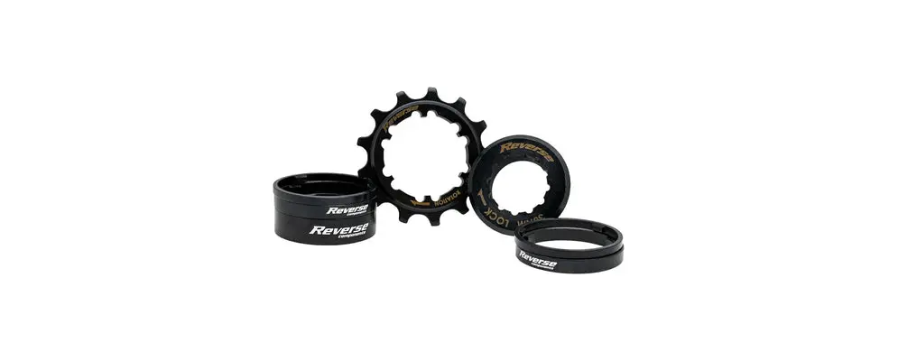 Reverse Microspline Single Speed Kit 13T 1