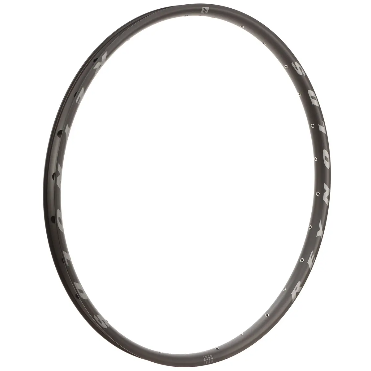 A307 Dh Pro Rims 1