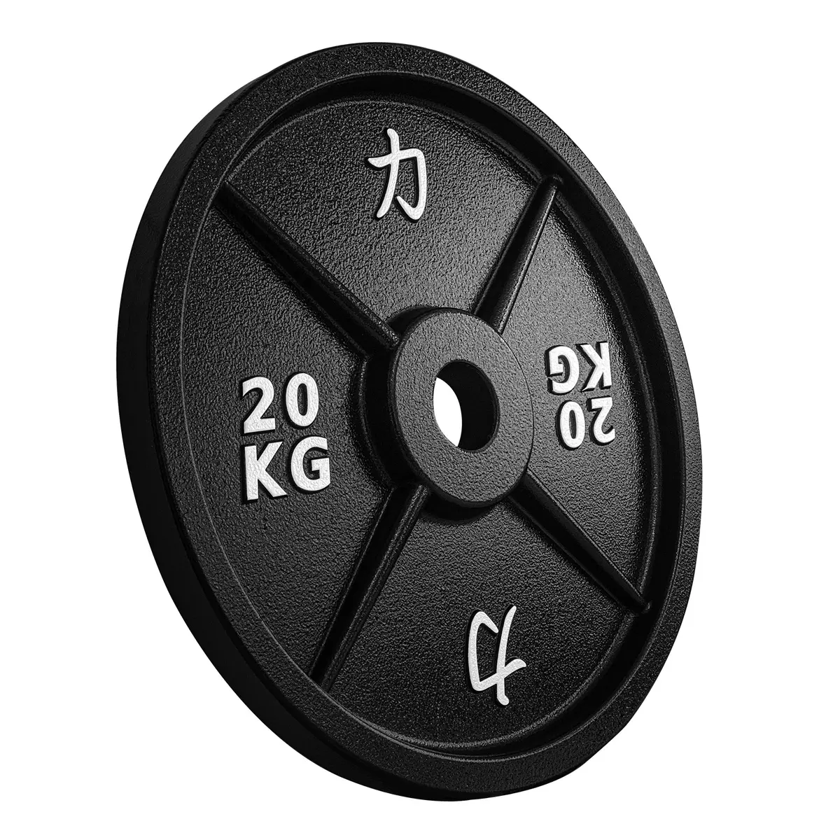 Riot Cast Iron Plates 6
