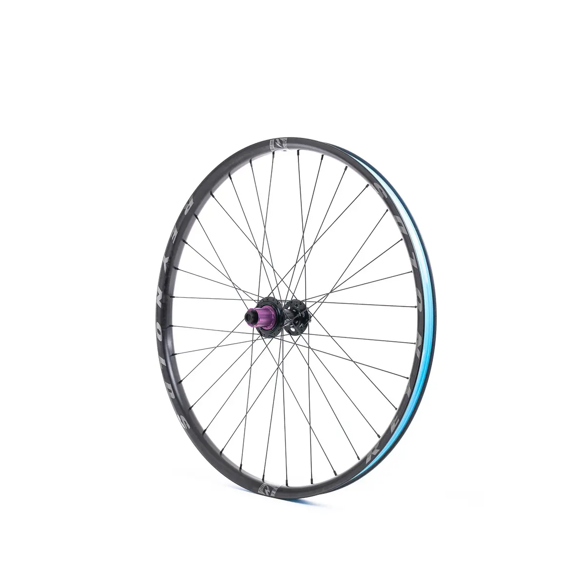 Blacklabel 309 Dh Expert 2