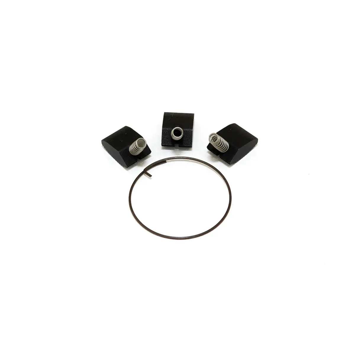 Box Three Pro Rear Hub Pawl & Spring Set 1
