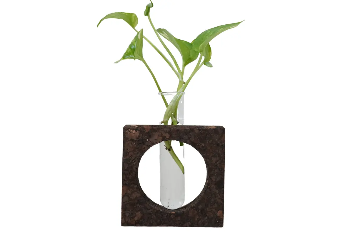 Cork Bark Planter With Test Tube 1
