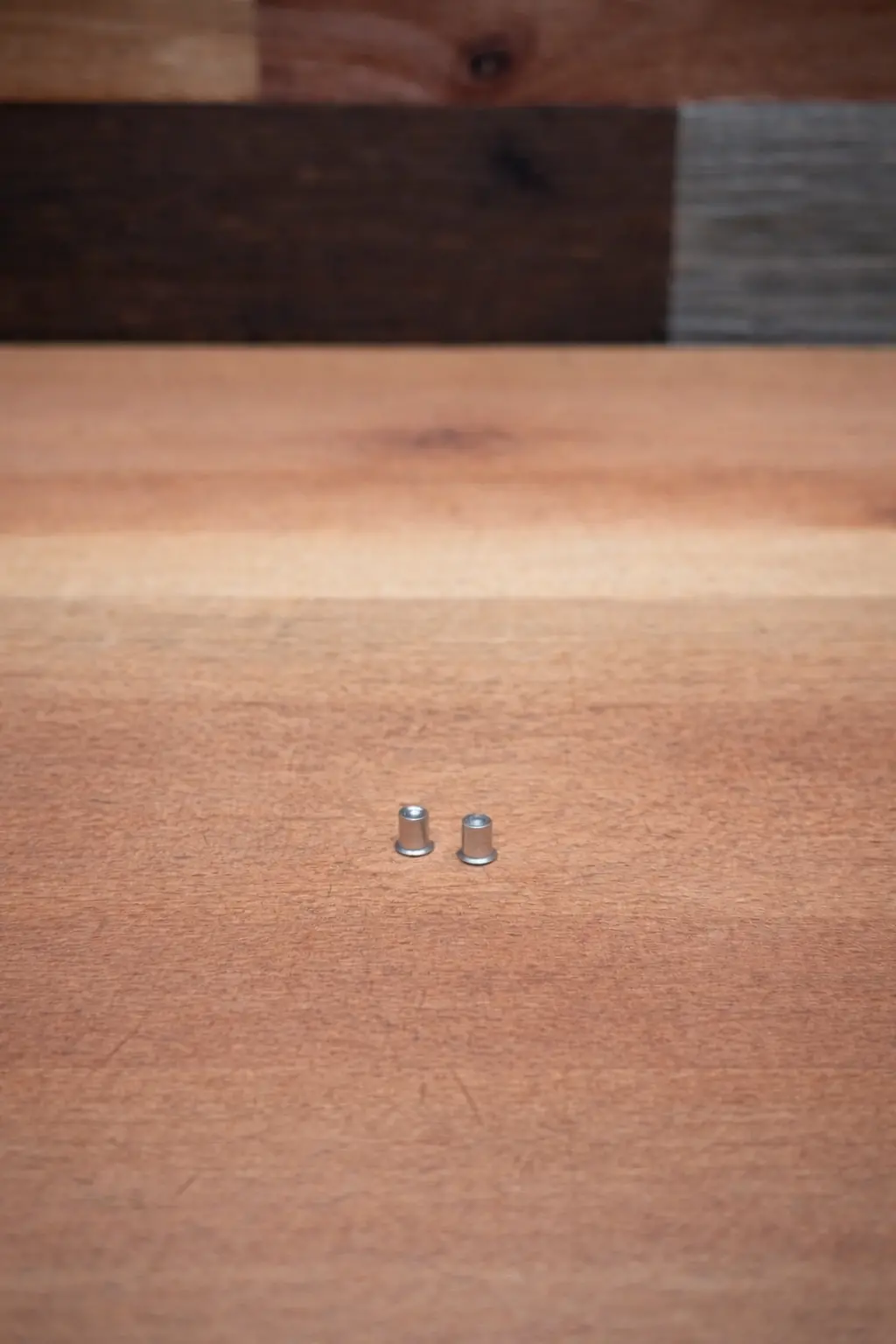 Chainsaw Bar Nose Rivets 1