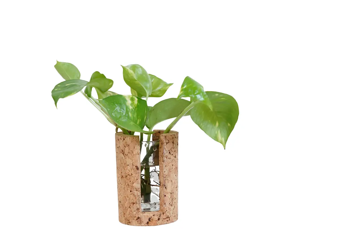 Cylindrical Test Tube Planter 1