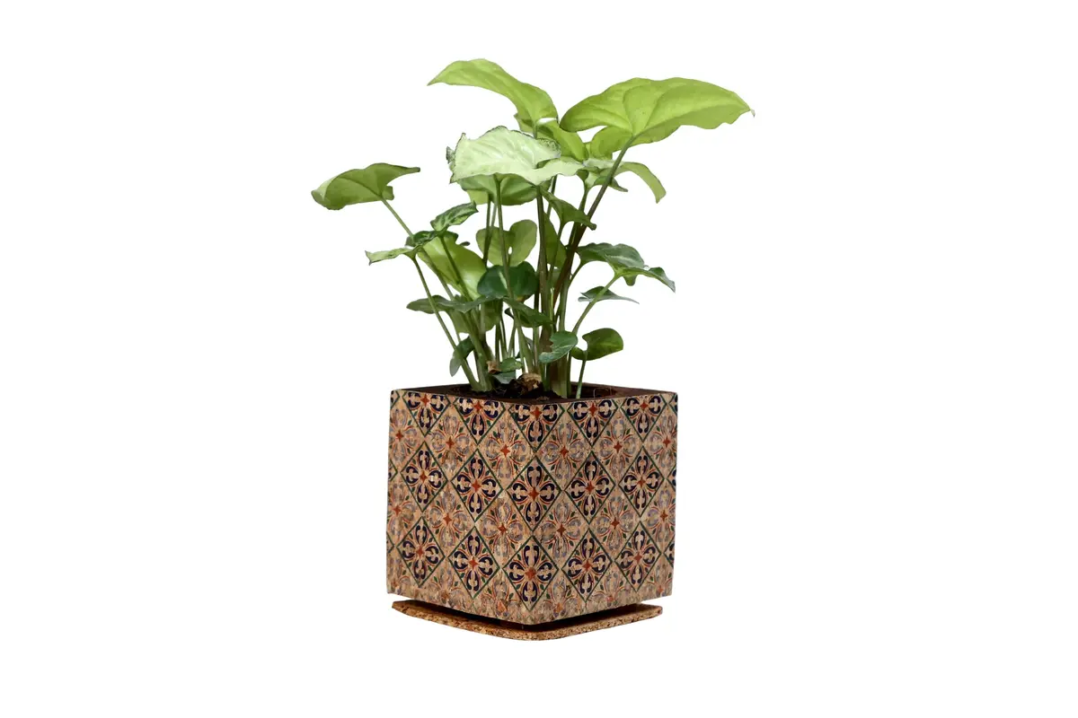 Diamond Print Planter 1