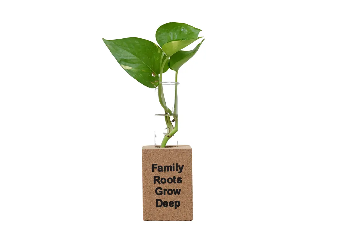 Fridge Magnet Planter Family Roots Grow Deep With Test Tube 1