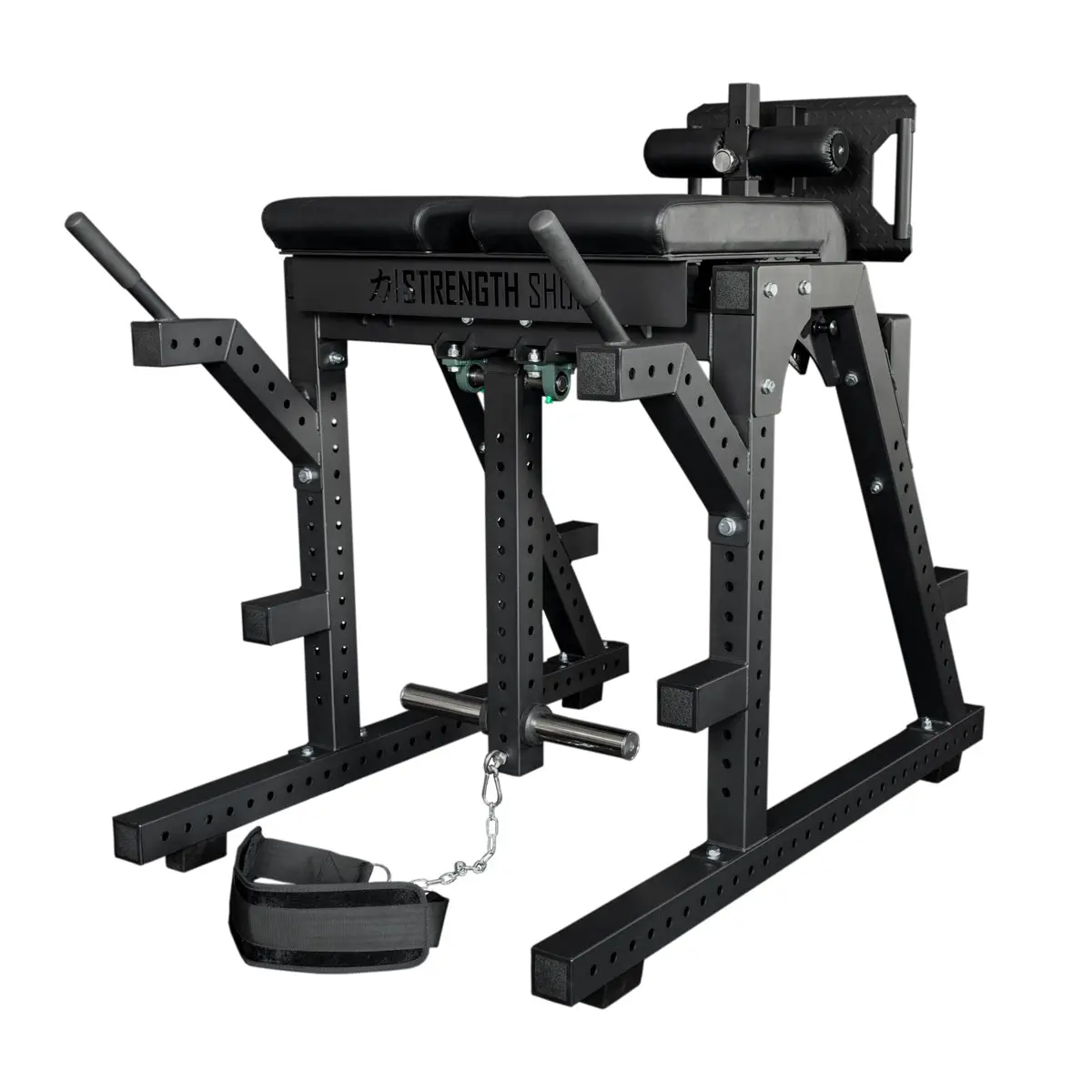 Reverse Hyper / Ghd Combo Machine 1