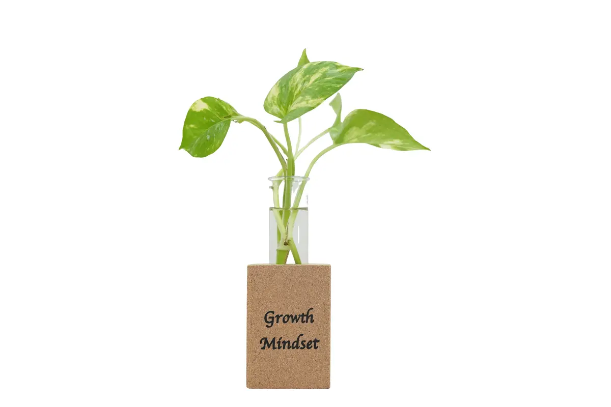 Fridge Magnet Planter Growth Mindset With Test Tube 1