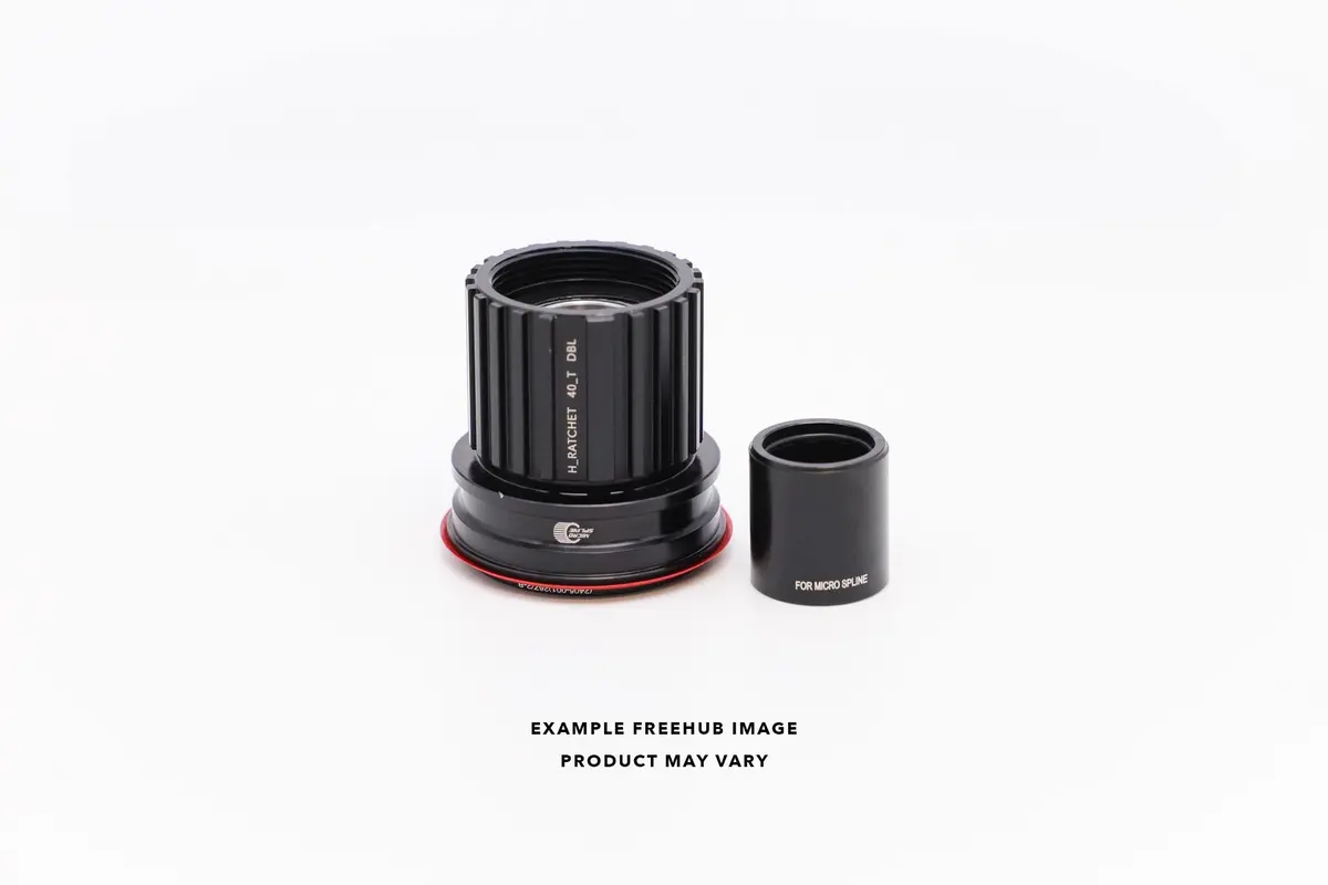 H_Ratchet Dbl 48T Freehub | Shimano Microspline 1