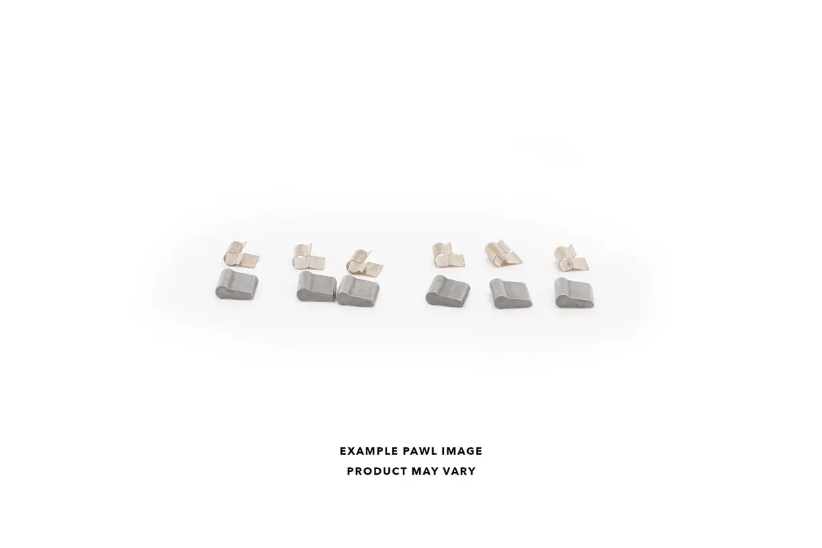Pawl And Spring Set | Phaseengage Freehub 1