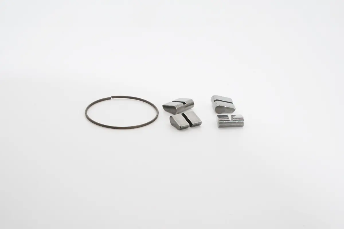 Pawl And Spring Set | Loop 4 Season Freehub 1