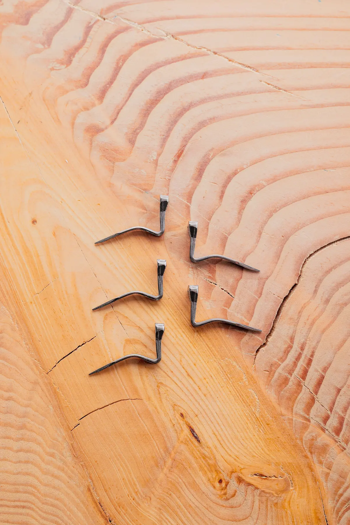 Horseshoe Nail For Logging Tapes (Single) 1