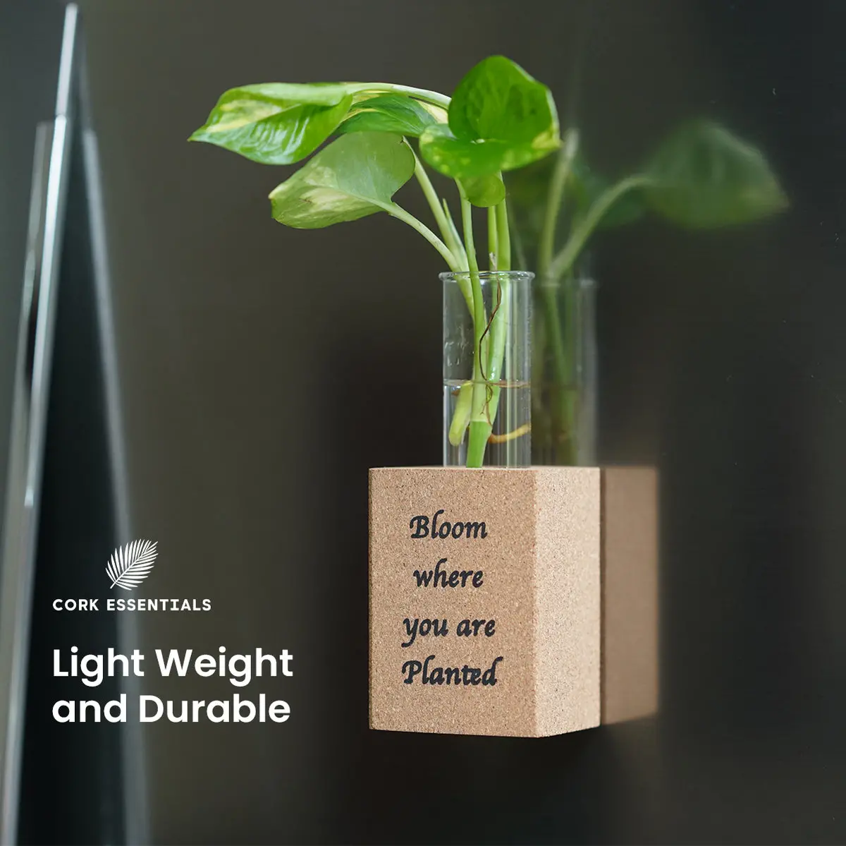 Fridge Magnet Planter Bloom Where Planted With Test Tube 2