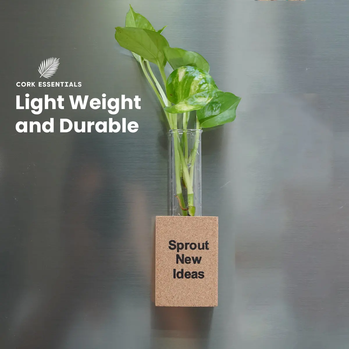 Fridge Magnet Planter Sprout New Ideas With Test Tube 2