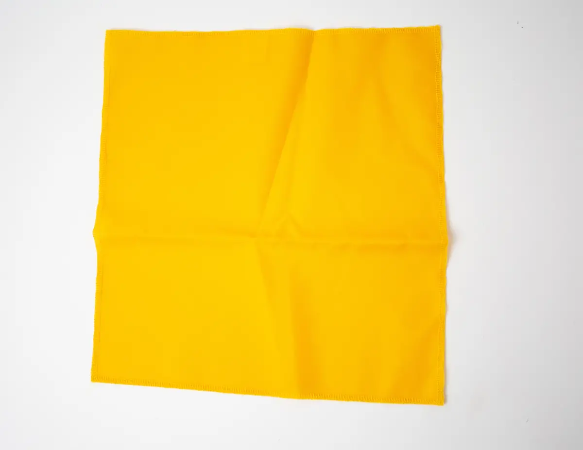 Lacrosse Penalty Flag 1