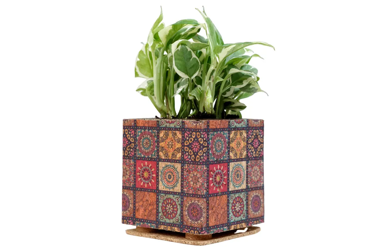 Mandala Print Planter 1