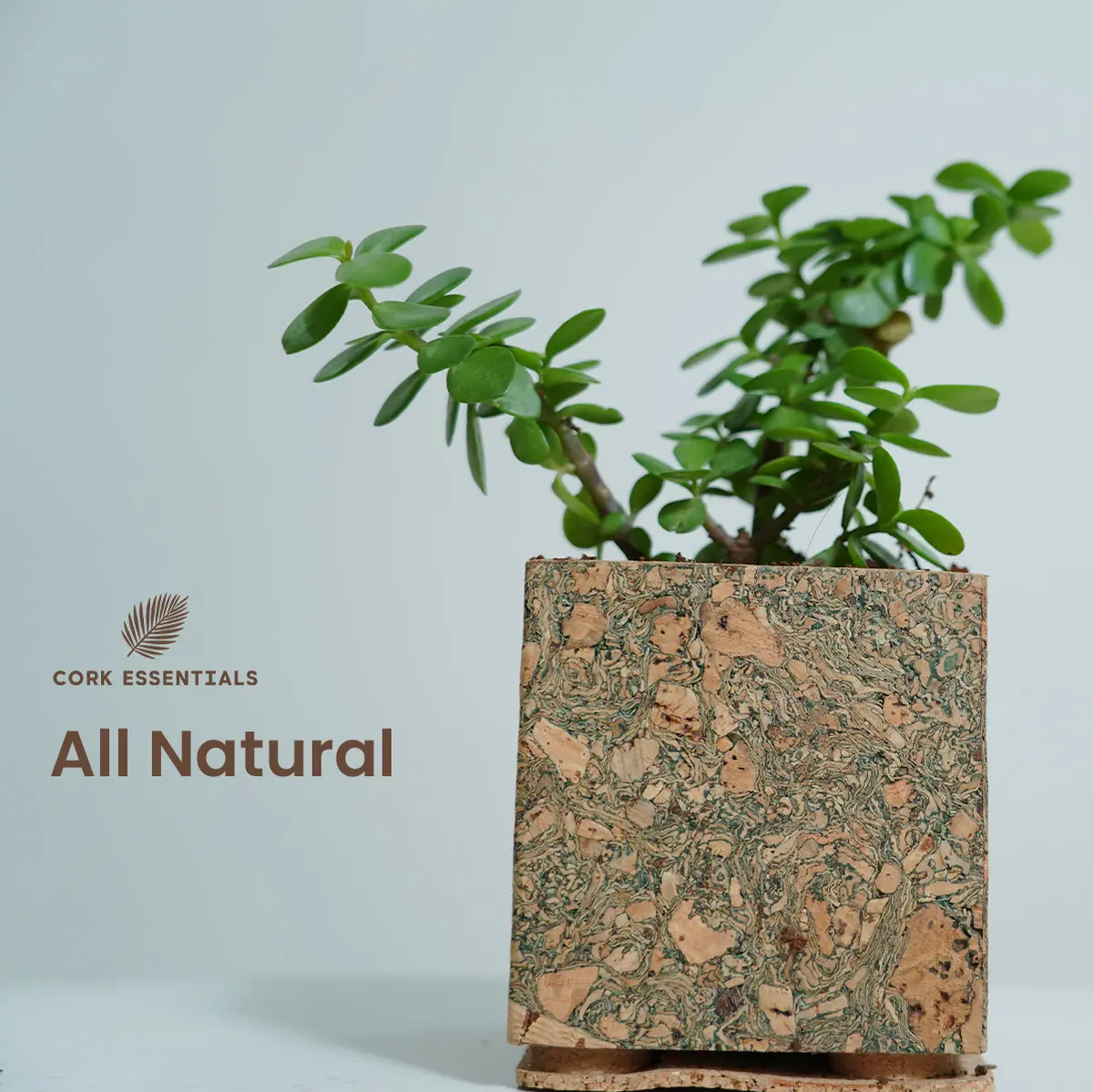 Olive Textured Planter 2