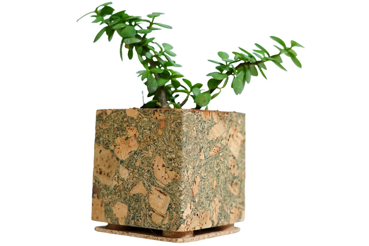 Olive Textured Planter 1