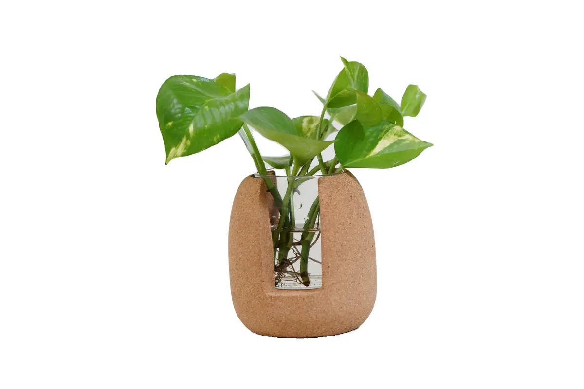 Oval Test Tube Planter 1