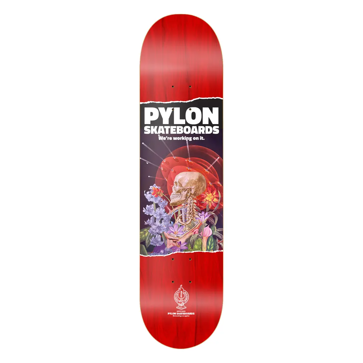 Pylon Skateboards Space Brain 8.38" Wide Deck 1