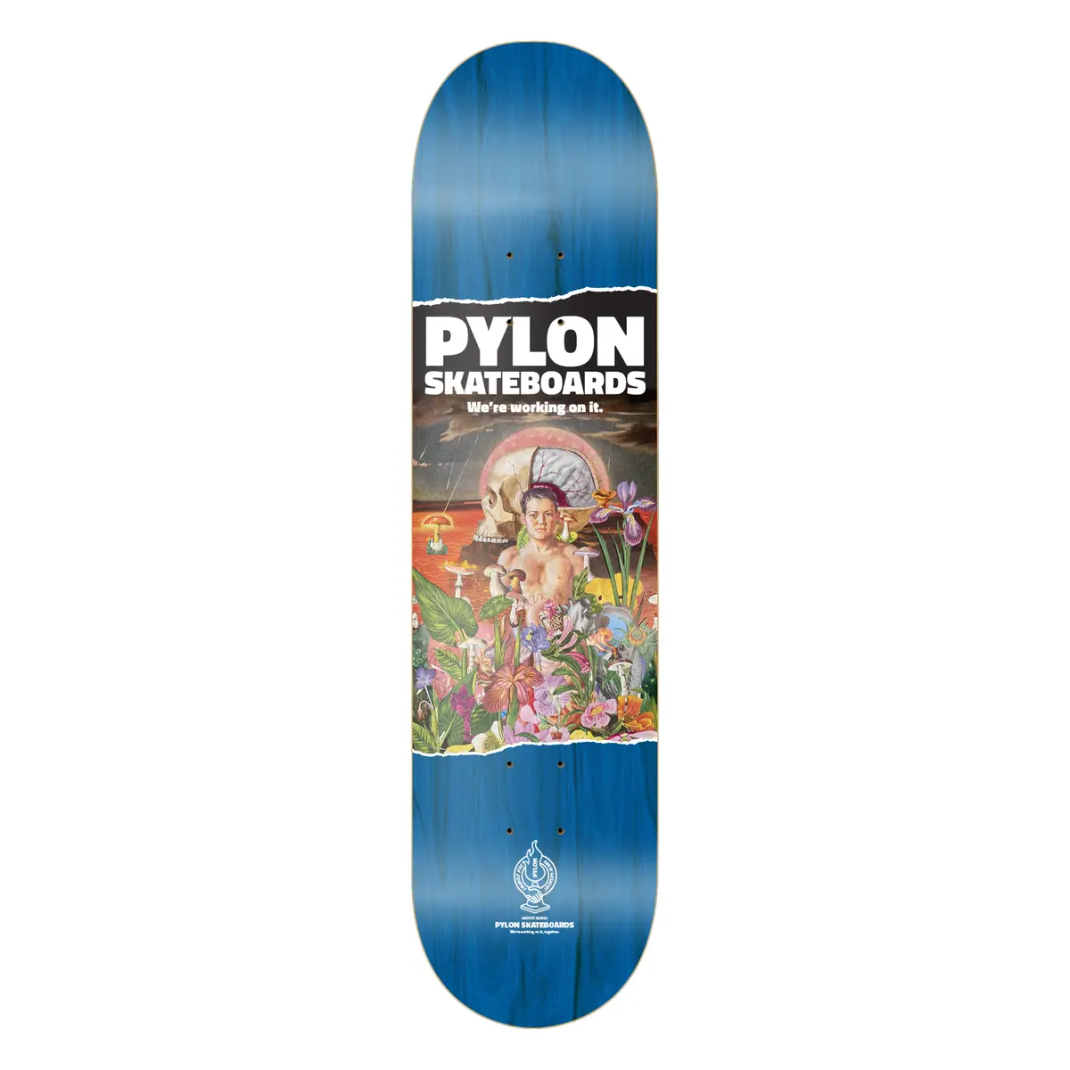 Pylon Skateboards Youngblood 8.5" Wide Deck 1