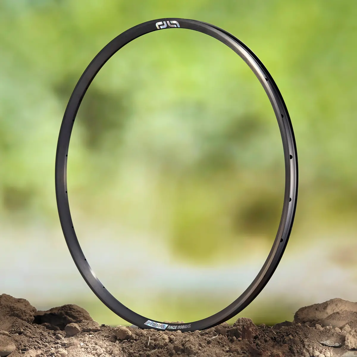 Piedmont Race Alloy Gravel Rim 1