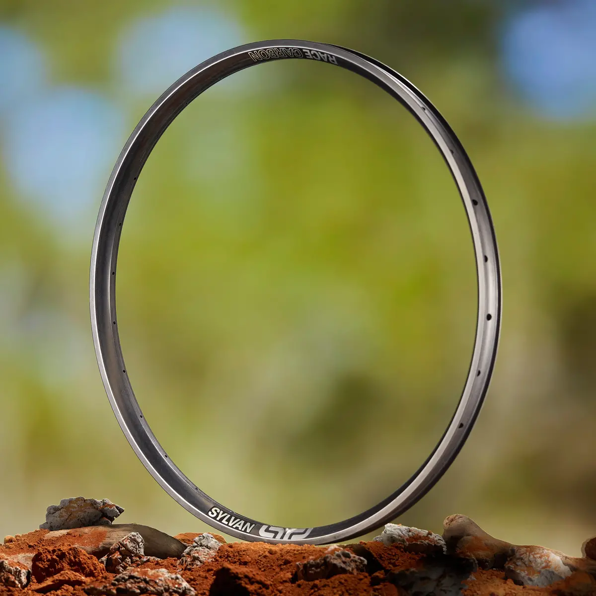 Sylvan Race Carbon All Mountain Rim 1