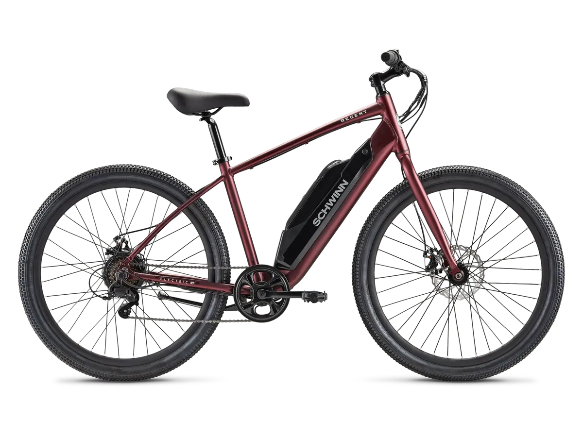 Regent Electric Bike 1