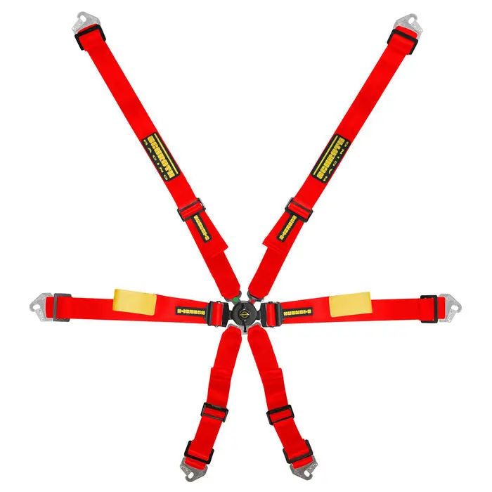 Schroth Enduro 6 Point Harness 1