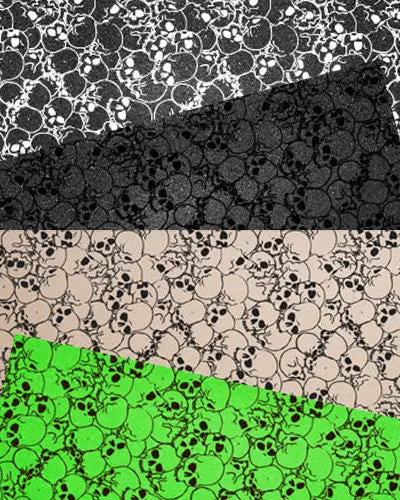 Flik Skulls Griptape 1