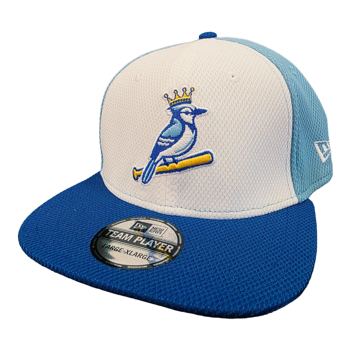 New Era Team Player Hat - Aurora-King Jays 1