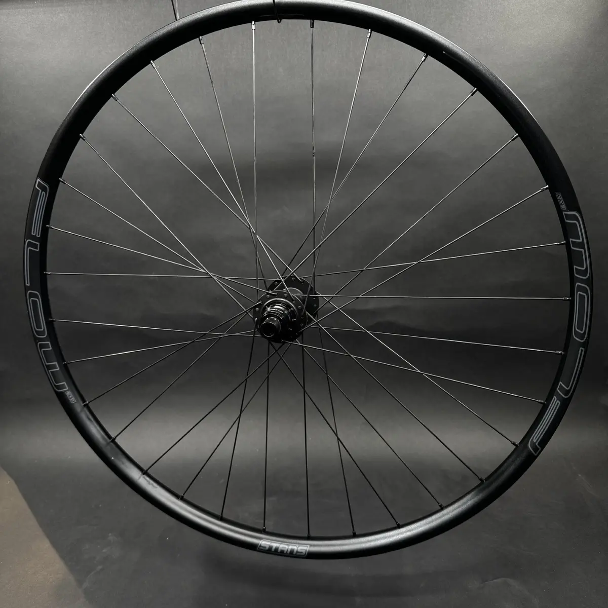 Enduro/Ebike Rear Wheel Dt 370 + Flow Ex3 1