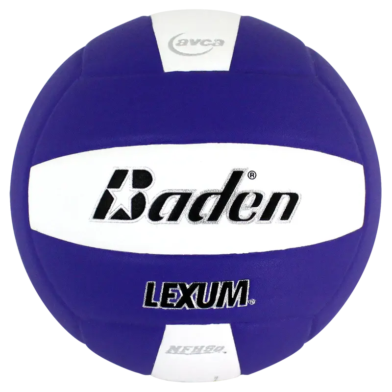 Baden Microfiber Volleyball Vx450c 1