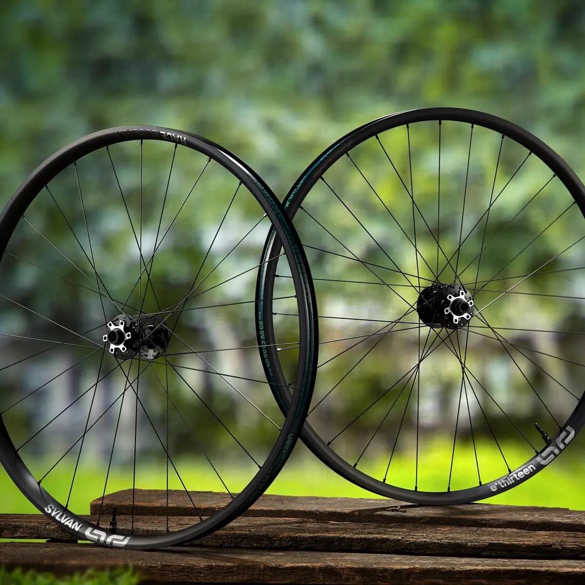 Sylvan Race Alloy E*Spec All Mountain Wheels 1