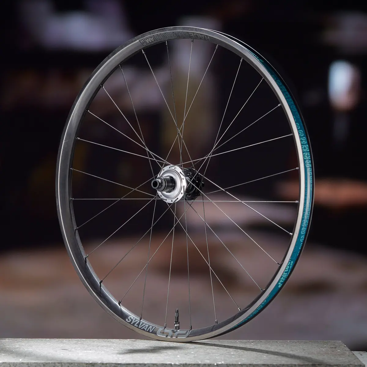 Sylvan Sidekick Race Carbon All Mountain Wheels - Front 1