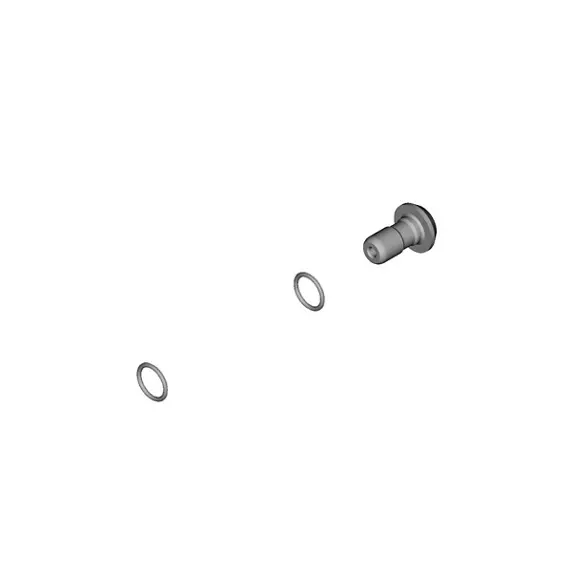 Shimano Banjo Bolt & O-Ring Br-M8100 1