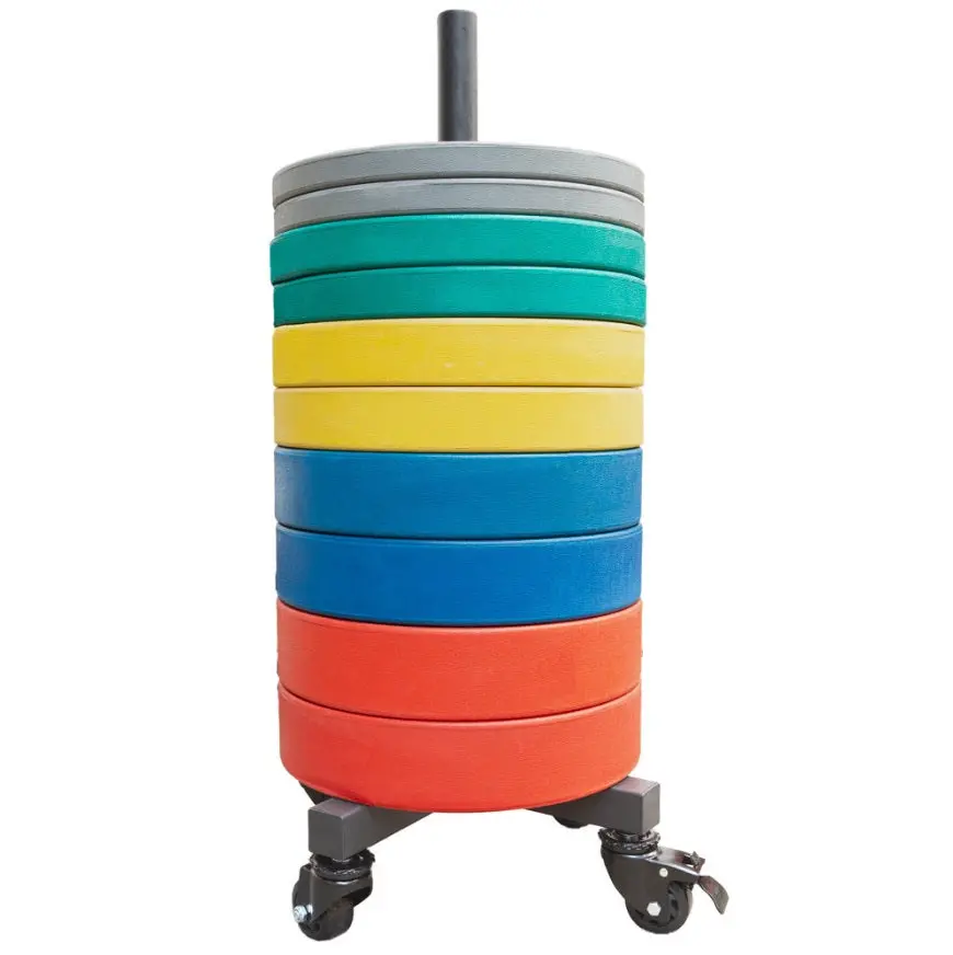 Vertical Plate Storage On Wheels 1