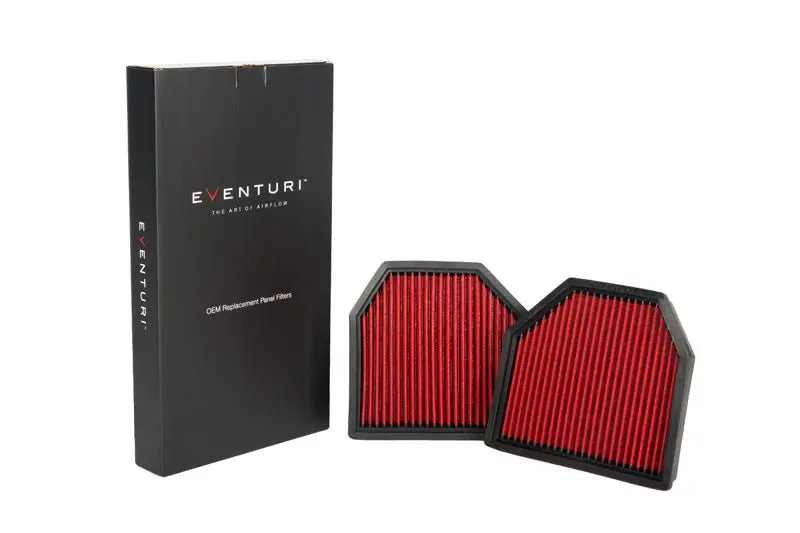 Eventuri Panel Filters - Bmw F10 M5 | F06/F12/F13 M6 1