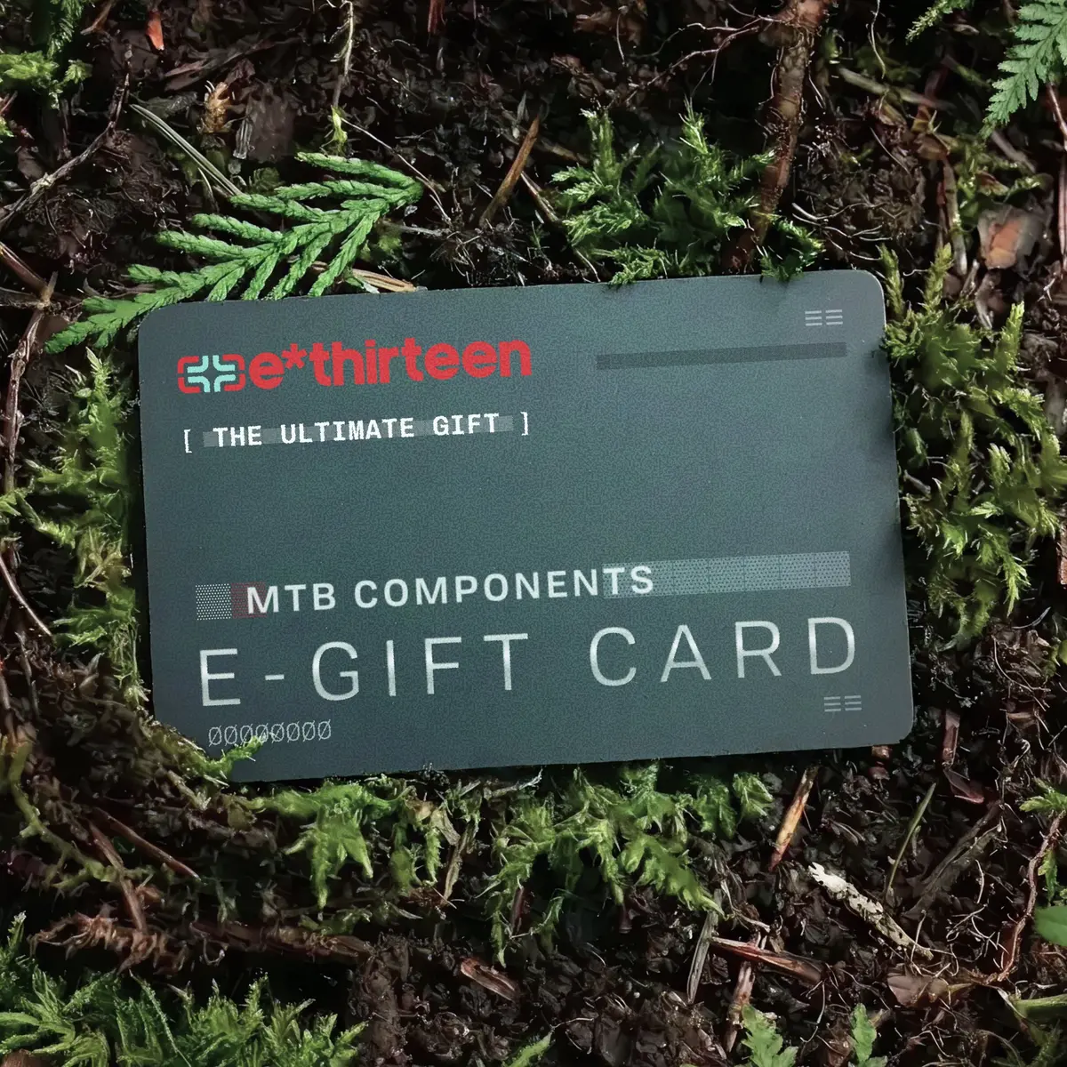 E*Thirteen E-Gift Card 1