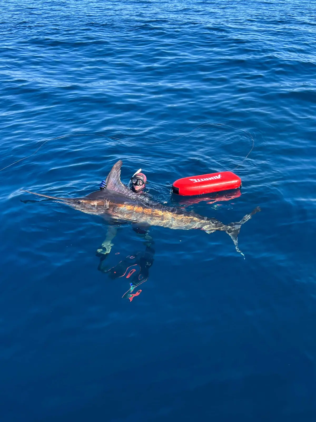 Aimrite Vendetta Bluewater Spearfishing Float 2