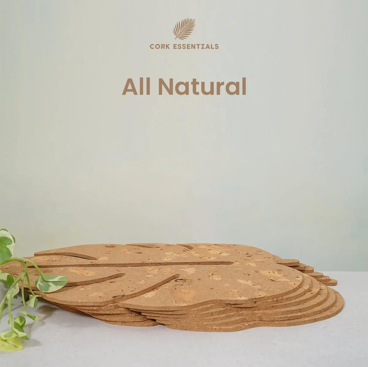 Cork Leaf Placemat Set Of 4 2