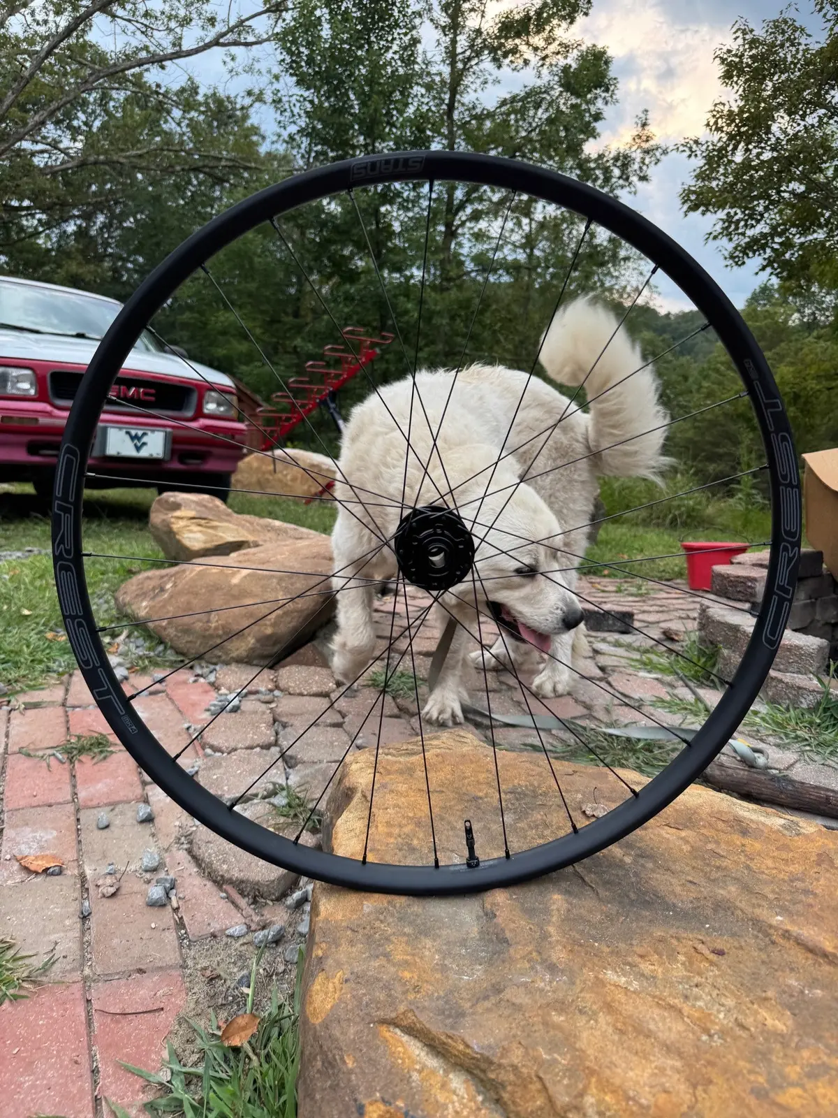 Budget Quality Gravel Front Wheel 1