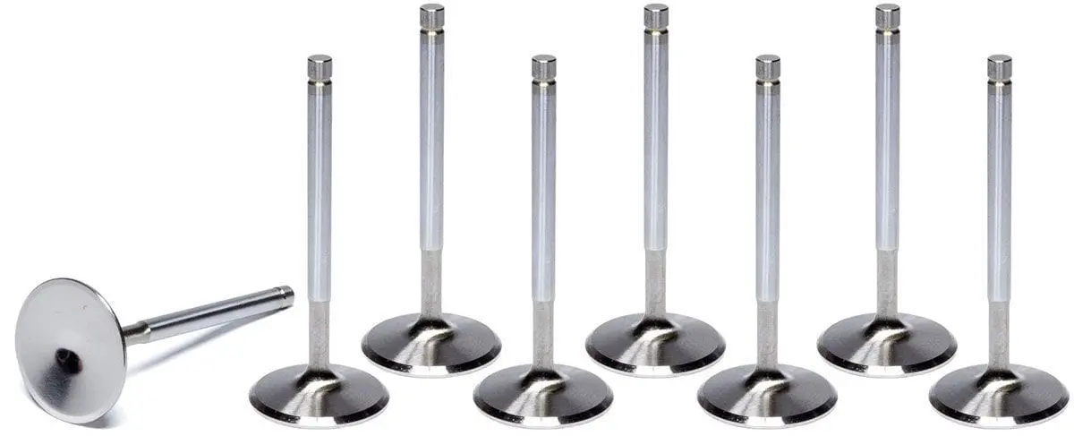 6000 Series Stainless Steel Exhaust Valve For High-Temperature Use (Fvf6107) 1